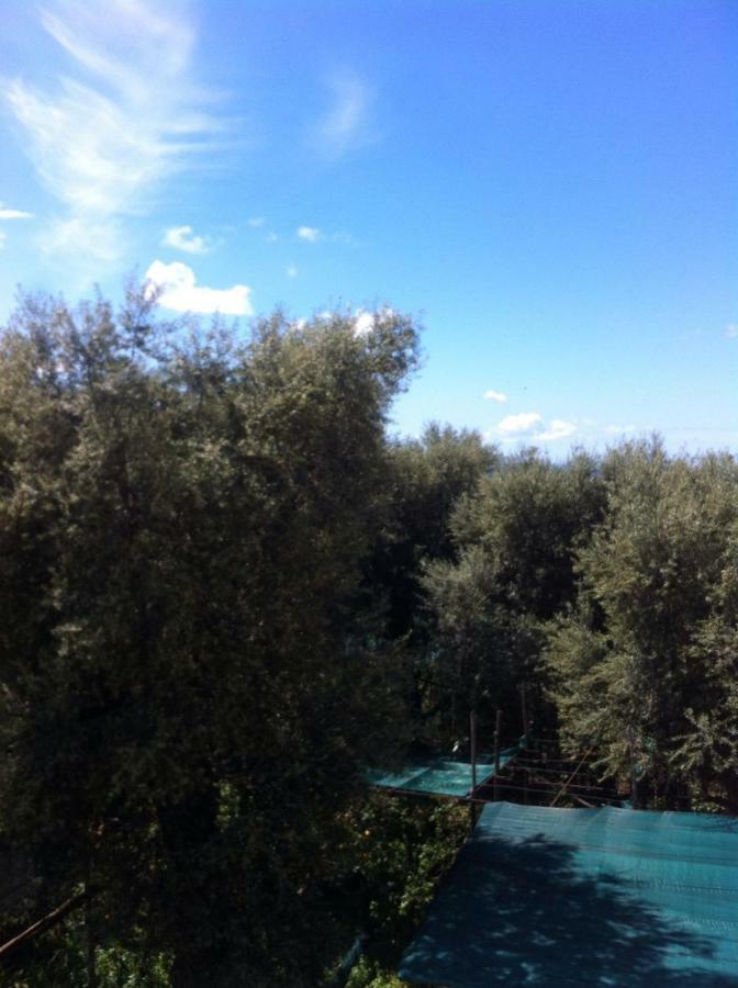 Casa Iolanda Villa Sorrento Exterior foto